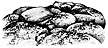 205F Boulders with Lichen