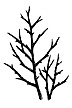 367B Winter Twigs