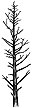 369C Leafless Pine (sm)