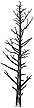 370E Leafless Pine (med)