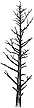 371G Leafless Pine (lg)