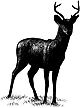 420B Deer Silhouette